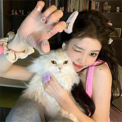 狐狸新娘星